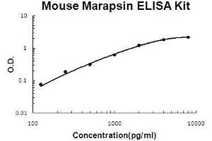 Image no. 1 for Protease, Serine 27 (PRSS27) ELISA Kit (ABIN5510654)