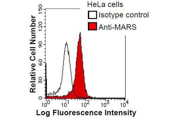 anti-Mars (MARS) antibody