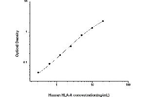 Image no. 1 for Major Histocompatibility Complex, Class I, A (HLA-A) ELISA Kit (ABIN6962365)