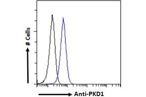 Image no. 1 for anti-Polycystic Kidney Disease 1 (Autosomal Dominant) (PKD1) (AA 2281-2292) antibody (ABIN768558)