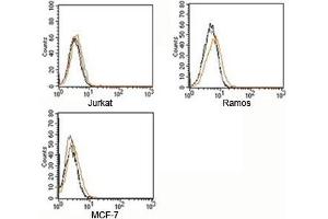 FACS testing of Rabbit IgG isotype control antibody on human samples.
