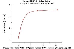 Image no. 2 for Tumor-Associated Calcium Signal Transducer 2 (TACSTD2) (AA 27-274) protein (His tag) (ABIN6253621)