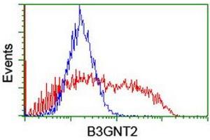 Image no. 3 for anti-UDP-GlcNAc:BetaGal beta-1,3-N-Acetylglucosaminyltransferase 2 (B3GNT2) antibody (ABIN1496799)