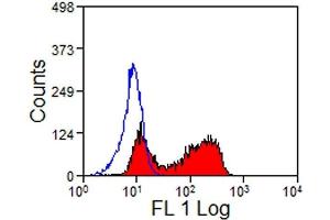 Image no. 1 for anti-Fc gamma RII (CD32) antibody (PE) (ABIN2479989)