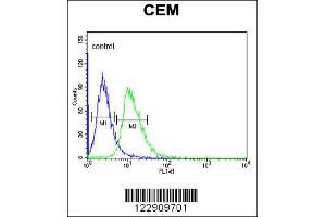 Flow Cytometry (FACS) image for anti-Dopamine Receptor D4 (DRD4) antibody (ABIN2158600)