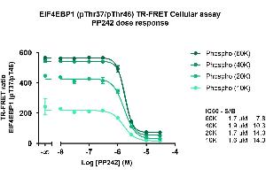 Image no. 2 for Phospho-4EBP1 (T37/T46) TR-FRET Cellular Assay Kit (ABIN6938946)