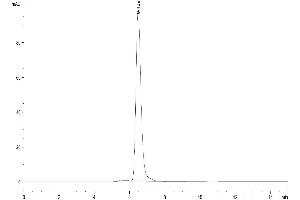 Size-exclusion chromatography-High Pressure Liquid Chromatography (SEC-HPLC) image for AXL Receptor tyrosine Kinase (AXL) protein (Fc Tag,Biotin) (ABIN7273883)