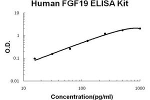 Image no. 1 for Fibroblast Growth Factor 19 (FGF19) ELISA Kit (ABIN1889347)