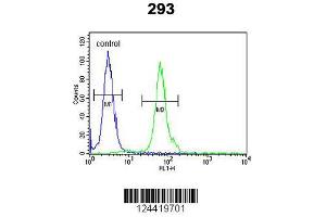 Image no. 3 for anti-DNA Fragmentation Factor, 40kDa, beta Polypeptide (Caspase-Activated DNase) (DFFB) (AA 1-30), (N-Term) antibody (ABIN653798)