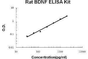 Image no. 2 for Brain-Derived Neurotrophic Factor (BDNF) ELISA Kit (ABIN411258)