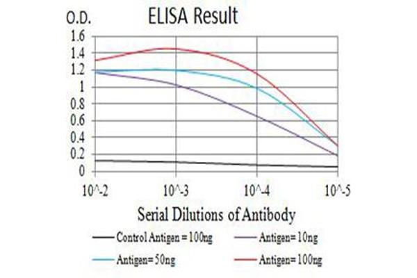 BTN3A1 Antikörper  (AA 30-254)