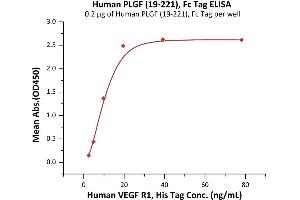 Image no. 3 for Placenta Growth Factor (PGF) (AA 19-221) (Active) protein (Fc Tag) (ABIN6973195)