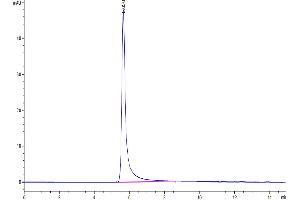 Size-exclusion chromatography-High Pressure Liquid Chromatography (SEC-HPLC) image for G Protein-Coupled Receptor, Family C, Group 5, Member D (GPRC5D) (Active) protein-VLP (ABIN7448171)