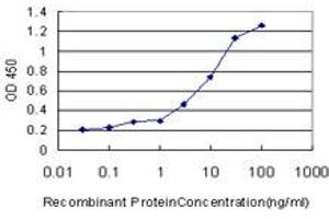 Image no. 1 for anti-RAN Binding Protein 3 (RANBP3) (AA 298-397) antibody (ABIN563654)