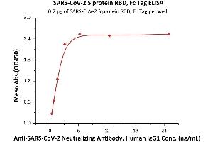 Image no. 1 for SARS-CoV-2 Spike S1 (RBD) protein (Fc Tag) (ABIN6952462)