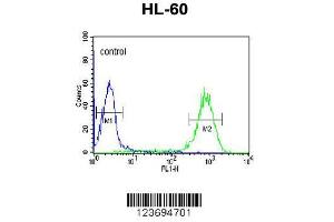 Image no. 3 for anti-delta-Like 2 Homolog (DLK2) (AA 353-380), (C-Term) antibody (ABIN652972)