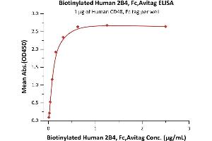 Image no. 1 for Natural Killer Cell Receptor 2B4 (CD244) (AA 22-221) (Active) protein (Fc Tag,AVI tag,Biotin) (ABIN5526627)