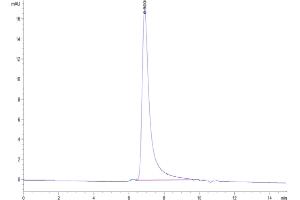 The purity of Human OX40 is greater than 95 % as determined by SEC HPLC.