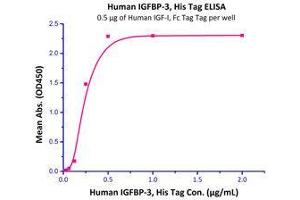 Immobilized Human IGF-I, Fc Tag (Cat# IG1-H4269) at 5 μg/mL (100 µl/well),can bind Human IGFBP-3, His Tag (Cat# IG3-H5229) with a linear range of 0.