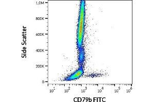 Image no. 1 for anti-CD79b Molecule, Immunoglobulin-Associated beta (CD79B) antibody (FITC) (ABIN1027695)