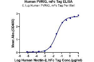 Image no. 1 for Poliovirus Receptor-Related Immunoglobulin Domain Containing (PVRIG) protein (mFc Tag) (ABIN7275506)