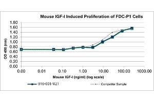 Insulin-Like Growth Factor 1 (IGF1) protein