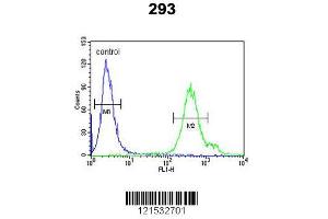 Image no. 1 for anti-Regenerating Islet-Derived 3 alpha (REG3A) (AA 12-39), (N-Term) antibody (ABIN653158)