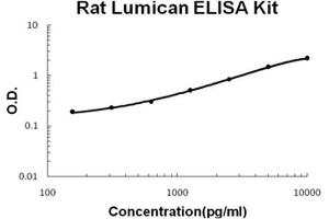 Image no. 1 for Lumican (LUM) ELISA Kit (ABIN1889413)