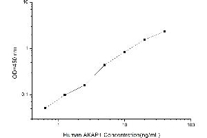 A Kinase (PRKA) Anchor Protein 1 (AKAP1) ELISA Kit