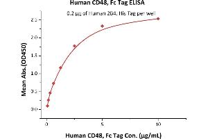 Image no. 3 for CD48 (CD48) (AA 27-220) (Active) protein (Fc Tag) (ABIN6253683)