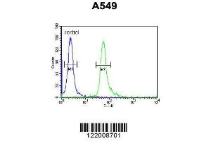 Image no. 1 for anti-T-Cell Activation rho GTPase-Activating Protein (TAGAP) (AA 103-129) antibody (ABIN654915)