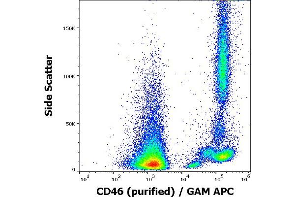 anti-CD46 (CD46) antibody