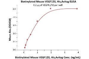 Vascular Endothelial Growth Factor A (VEGFA) (AA 27-146) (Active) protein (His tag,AVI tag,Biotin)