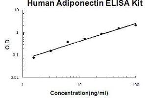 Image no. 1 for Adiponectin (ADIPOQ) ELISA Kit (ABIN411384)