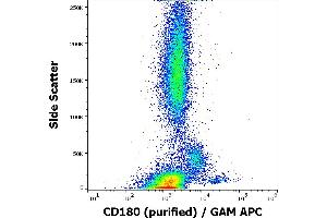 Image no. 1 for anti-CD180 Molecule (CD180) antibody (ABIN559680)