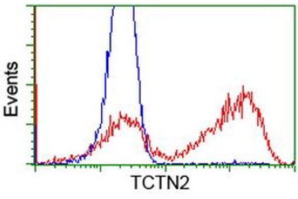 TCTN2 抗体