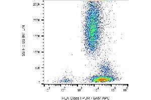 Image no. 2 for anti-MHC Class I Polypeptide-Related Sequence A (MICA) antibody (PE) (ABIN192283)