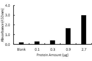 Transcription factor assay of PPAR-alpha from purified recombinate PPAR-alpha protein with PPAR-alpha TF Activity Assay Kit.
