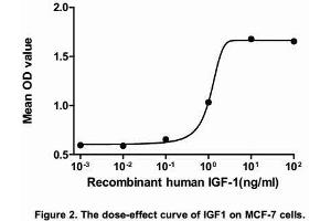 Insulin-Like Growth Factor 1 (IGF1) (AA 49-118) (Active) protein (His tag)