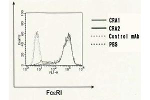 Image no. 1 for anti-Fc Fragment of IgE Receptor Ia (FCER1A) (AA 1-84) antibody (FITC) (ABIN2451976)