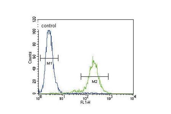 anti-Organic Anion Transporter H (OATP-H) (AA 516-544), (C-Term) antibody