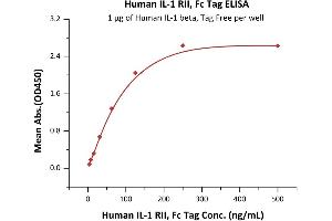 Immobilized Human IL-1 beta, Tag Free (ABIN2181299,ABIN3071753) at 10 μg/mL (100 μL/well) can bind Human IL-1 RII, Fc Tag (ABIN2181360,ABIN2181359) with a linear range of 4-125 ng/mL (QC tested).