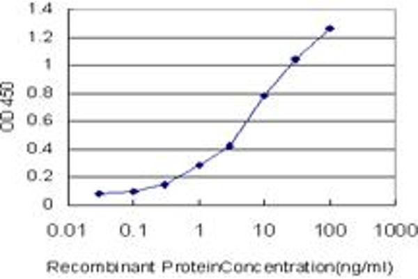 POLR2H antibody  (AA 1-150)