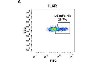 Image no. 5 for Interleukin 6 (IL6) protein (mFc Tag,His tag) (ABIN6961105)