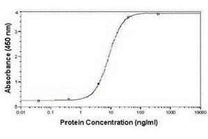 Very Low Density Lipoprotein (VLDL) anticorps