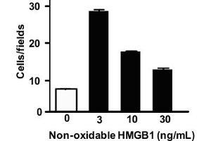 Image no. 2 for High Mobility Group Box 1 (HMGB1) (Non-oxidizable) (Active) protein (ABIN1176829)
