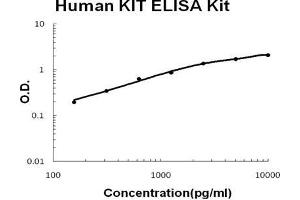 Image no. 1 for Mast/stem Cell Growth Factor Receptor (KIT) ELISA Kit (ABIN1672811)