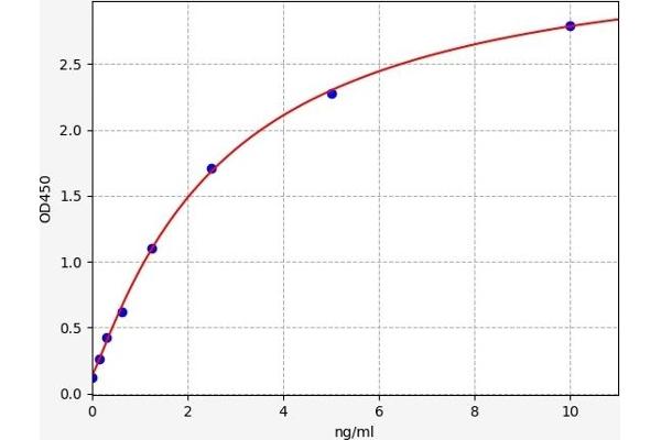 MOG Kit ELISA