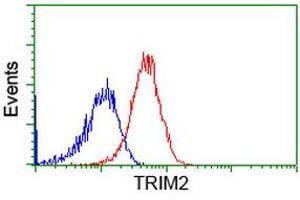 Image no. 1 for anti-Tripartite Motif Containing 2 (TRIM2) (AA 1-100), (AA 645-744) antibody (ABIN1490544)