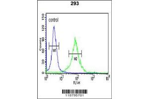 Flow Cytometry (FACS) image for anti-APC Membrane Recruitment Protein 1 (AMER1) antibody (ABIN2158780)